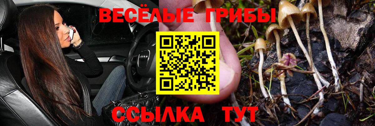 Псилоцибиновые грибы MAGIC MUSHROOMS Хабаровск