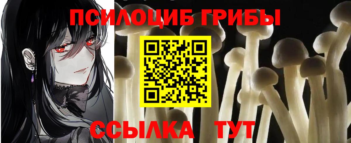 Хабаровск  Псилоцибиновые грибы Psilocybe  Псилоцибиновые грибы Magic Shrooms  Вход с VPN 